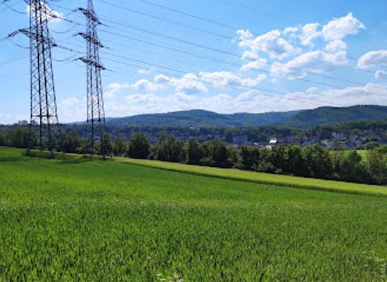 germany/westphalia/attraction/sonderhorst