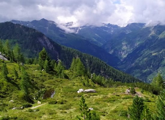 austria/gastein-valley/attraction/zirbenweg