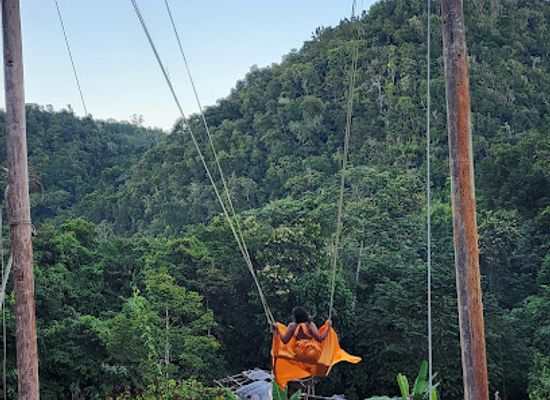 jamaica/montego-bay/hip-strip/attraction/wah-gwaann-tours-attractions