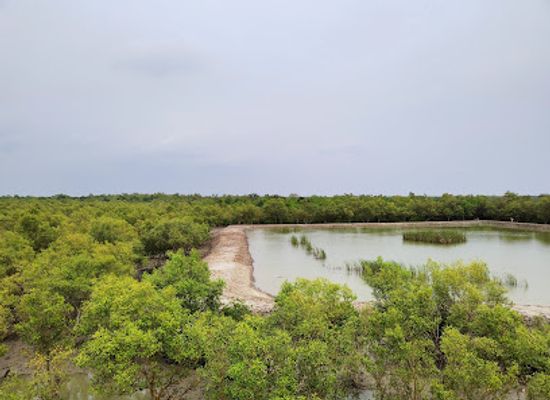 bangladesh/sundarbans/attraction/sajnekhali-wildlife-sanctuary