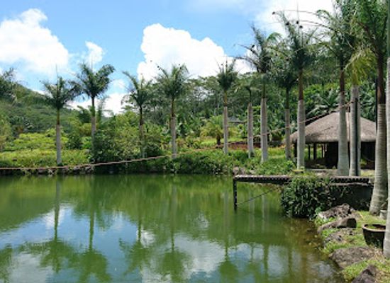 mauritius/savanne/attraction/chazal-ecotourism