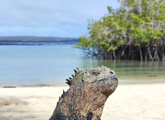 ecuador/galapagos-islands/attraction/galapagos-up-las-grietas