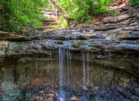 alabama/monte-sano-state-park/attraction/land-trust-of-north-alabama-monte-sano-nature-preserve-cleermont-trailhead