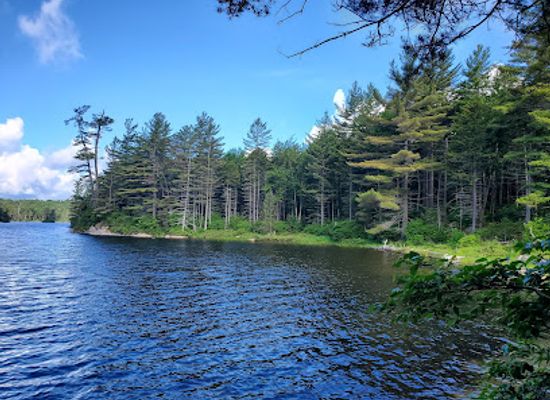 new-york/old-forge/attraction/moose-river-plains-wild-forest