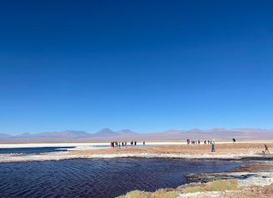 chile/san-pedro-de-atacama/attraction/laguna-tebinquiche