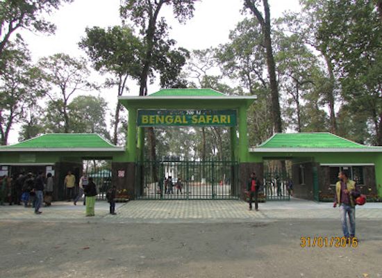 india/siliguri/attraction/bengal-safari