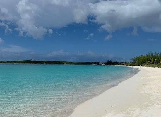 the-bahamas/exuma/attraction/rionorganics