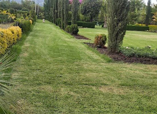 ethiopia/wollo/attraction/green-mesk-garden-senait-menafesha