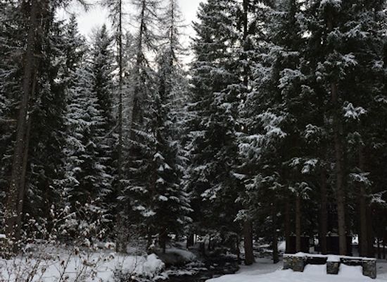 italy/la-thuile/attraction/parque