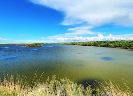 united-kingdom/lincolnshire/attraction/rspb-titchwell-marsh