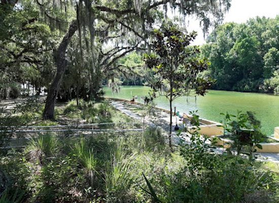 florida/juniper-springs-recreation-area/attraction/salt-springs-recreation-area