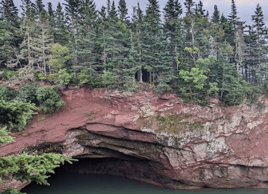 canada/annapolis-valley/attraction/sea-caves-unesco-fundy-biosphere-reserve-amazing-place