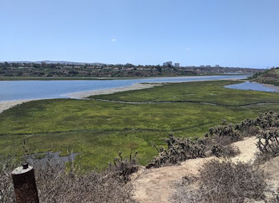 california/irvine/attraction/upper-newport-bay-nature-preserve
