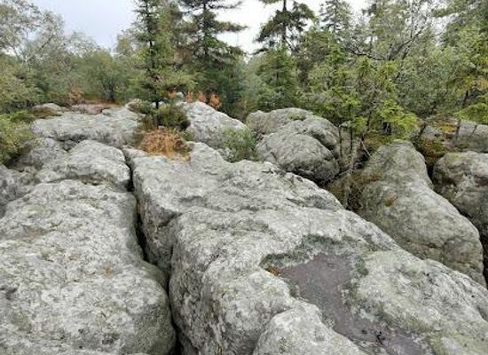 czechia/east-bohemia/attraction/errant-rocks