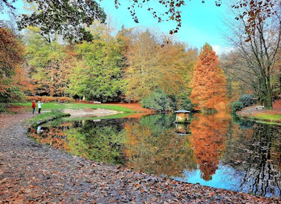 netherlands/gelderland/attraction/de-hemelsche-berg