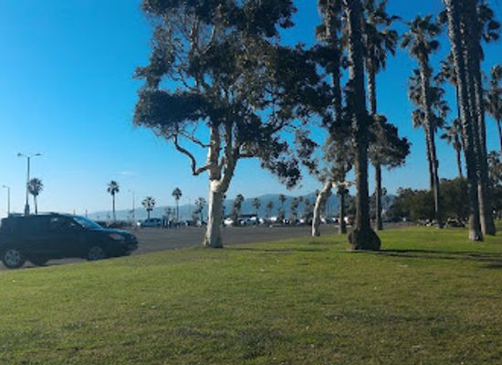 california/venice-beach/attraction/dorothy-green-park