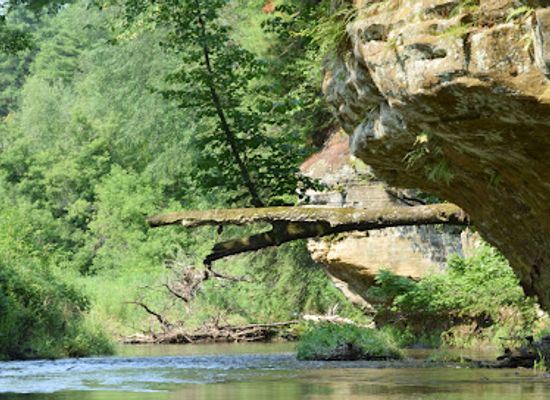 wisconsin/driftless-area/attraction/wildcat-mountain-state-park