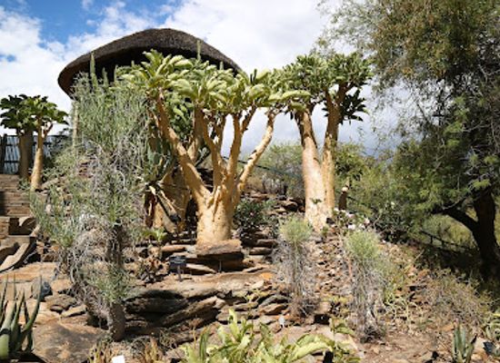 namibia/windhoek/attraction/national-botanical-gardens