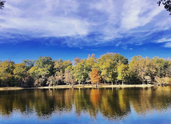 mississippi/jackson/attraction/lefleur-s-bluff-state-park-mayes-lake
