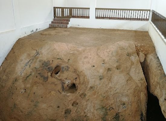 oman/dhofar-region/attraction/the-crush-of-the-prophet-saleh-s-camel