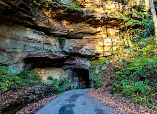 kentucky/sheltowee-trace-national-recreation-trail/attraction/nada-tunnel