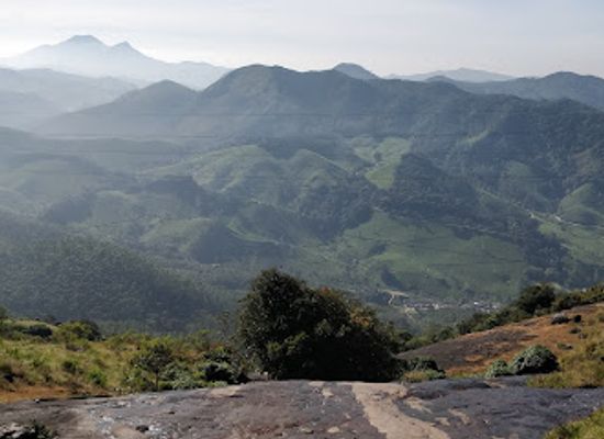 india/western-ghats/attraction/eravikulam-national-park