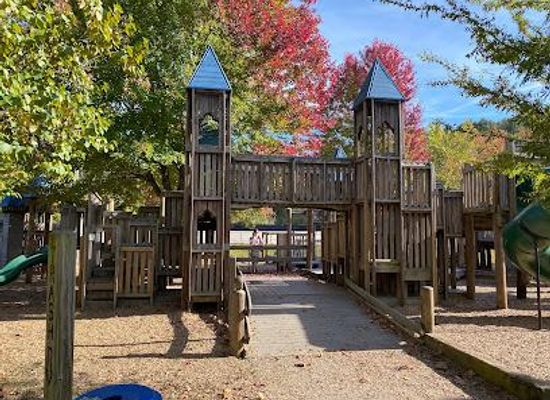 north-carolina/asheville-area/attraction/carrier-park