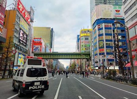 japan/tokyo/attraction/gigo-akihabara-5