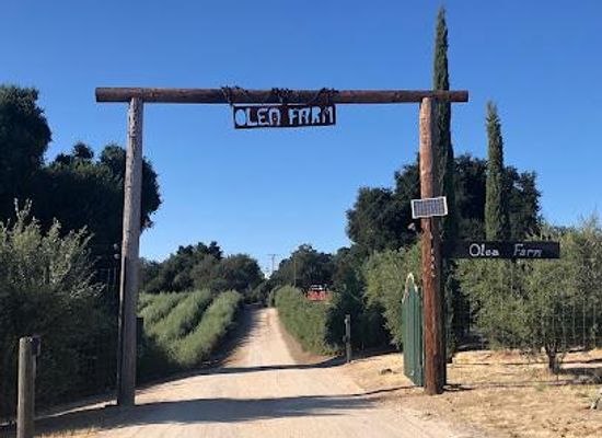 california/central-coast/attraction/olea-farm