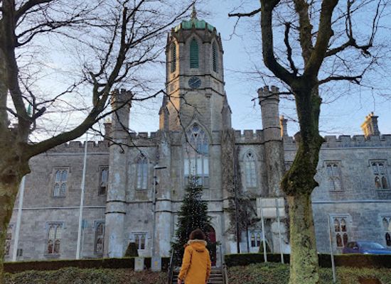 ireland/county-galway/attraction/quadrangle