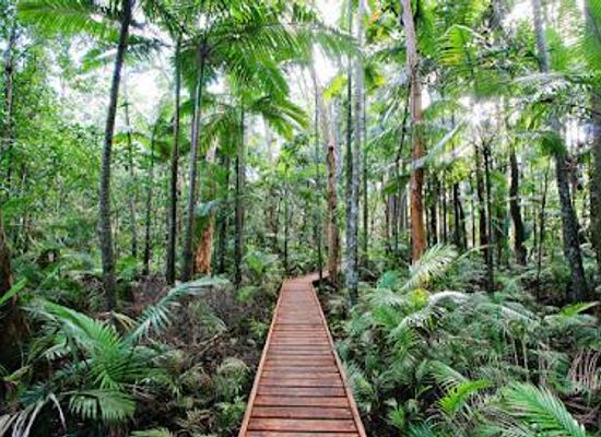 australia/cairns/attraction/cairns-botanic-gardens