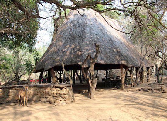 eswatini/malkerns/attraction/mkhaya-game-reserve