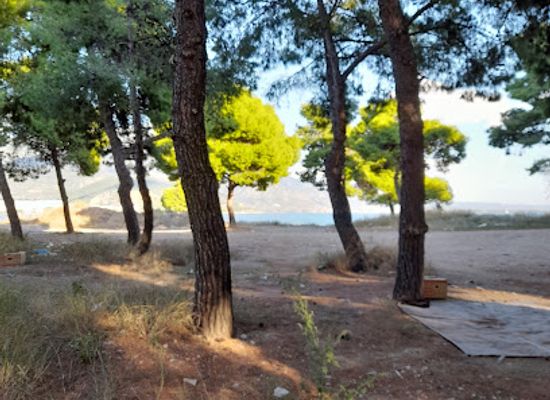 greece/volos/attraction/Alsos-Pefkakion