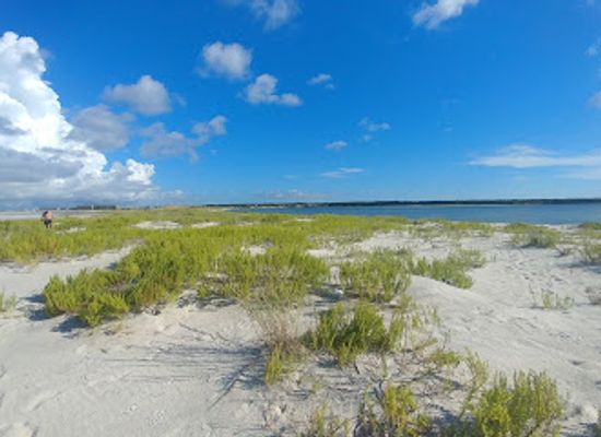 alabama/dauphin-island/attraction/pelican-peninsula