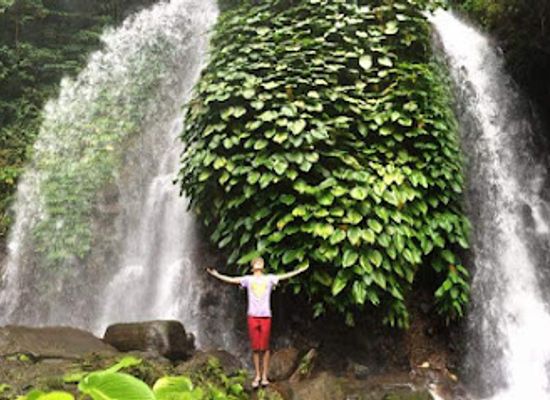 philippines/bicol-region/attraction/itbog-twin-falls