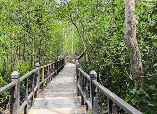 singapore/jurong/attraction/taman-negara-johor-tanjung-piai