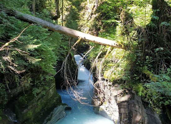 switzerland/graubunden/attraction/felsbachschlucht