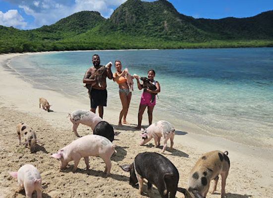 antigua-and-barbuda/saint-mary/attraction/pig-s-paradise-antigua