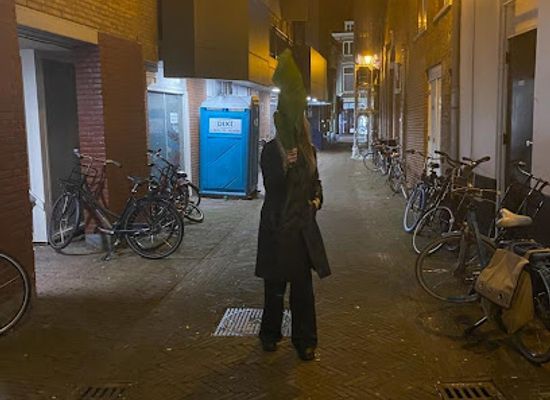 netherlands/haarlem/attraction/steeg