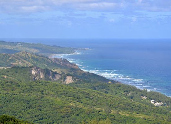 barbados/south-coast/attraction/peg-farm-and-nature-reserve