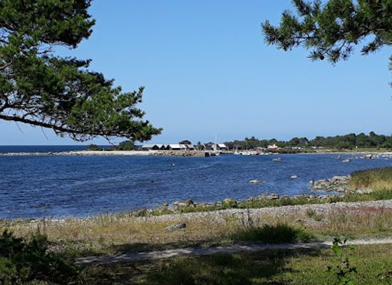 sweden/gotaland/attraction/konstnarshemmet-brucebo