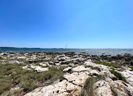 croatia/rovinj/attraction/wyspa-pulari