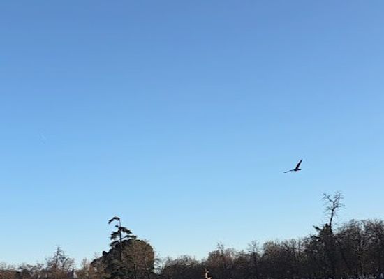 spain/madrid/retiro/attraction/retiro-park