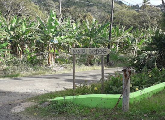 saint-lucia/dennery-quarter/attraction/mamiku-gardens