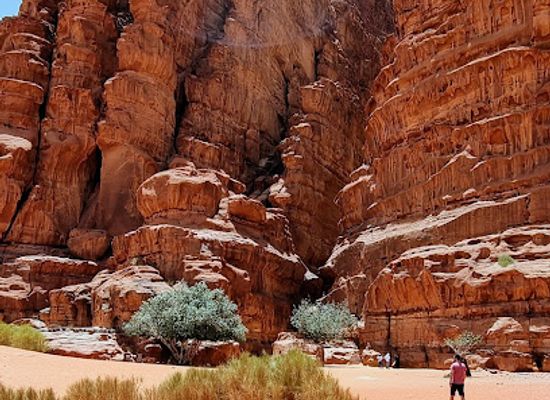 jordan/badia/attraction/khazali-inscriptions