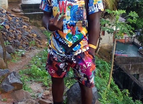sierra-leone/western-area-urban-district/attraction/sierra-world-of-experience