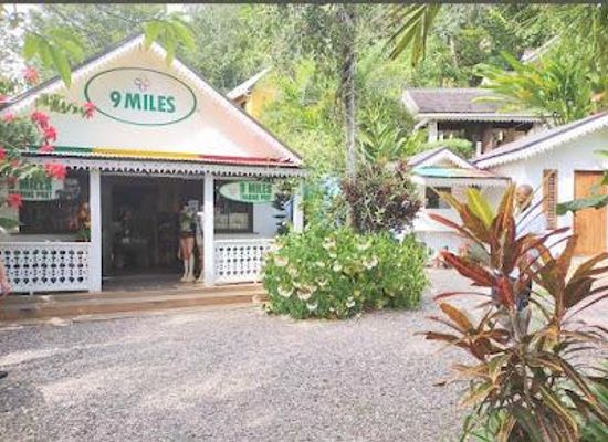 jamaica/dry-harbour-mountains/attraction/nine-mile