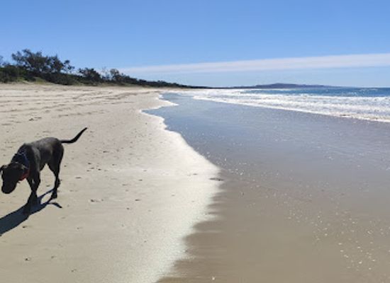 australia/noosa/attraction/beach-access