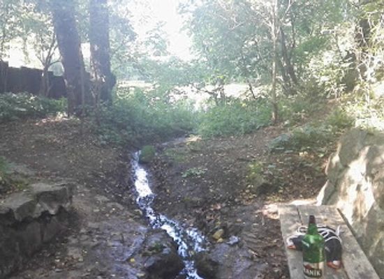 czechia/plzen/attraction/cesalova-studanka