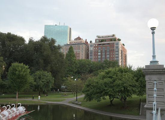massachusetts/boston/beacon-hill/attraction/public-garden